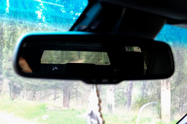 OMSA VW Amarok Omcap Camlı Kabin Camp Paslanmaz Çelik 2022 ve Sonrası